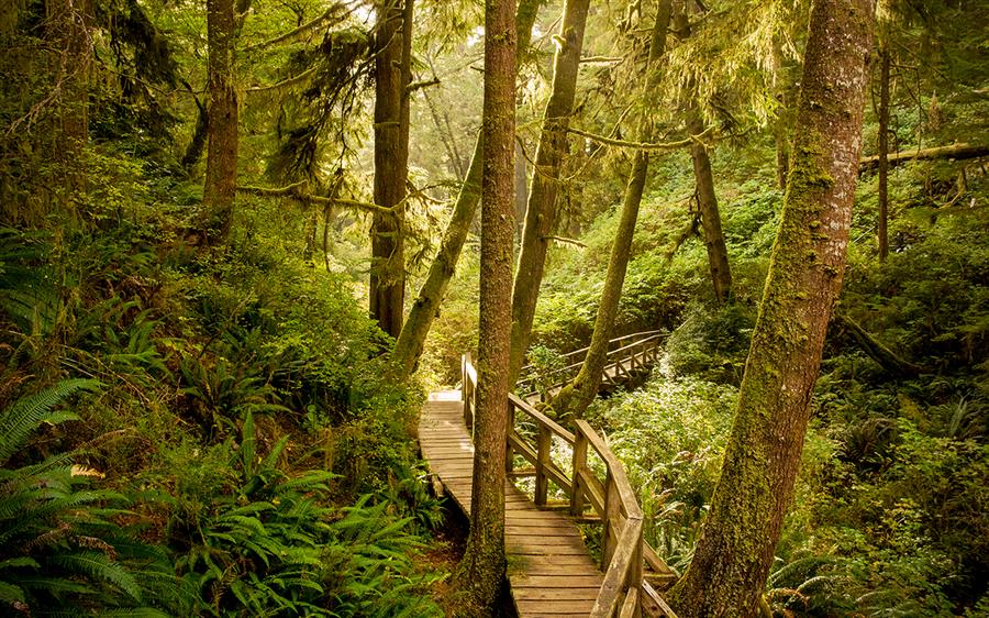 形婚棋盘上的真假人生