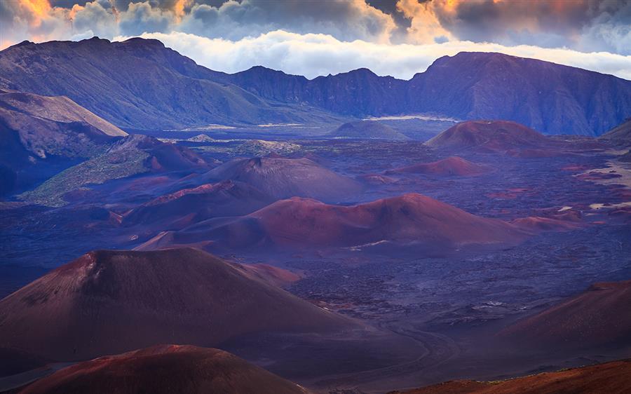 刚性的条框与空地：同志群体形婚困境的制度根源