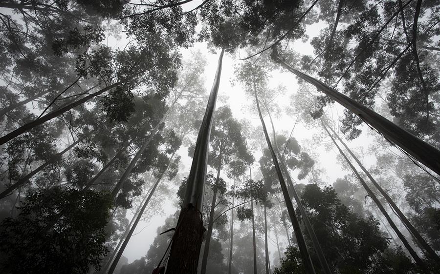 十年的欺骗：在复杂世界中拥抱真爱与自我发现