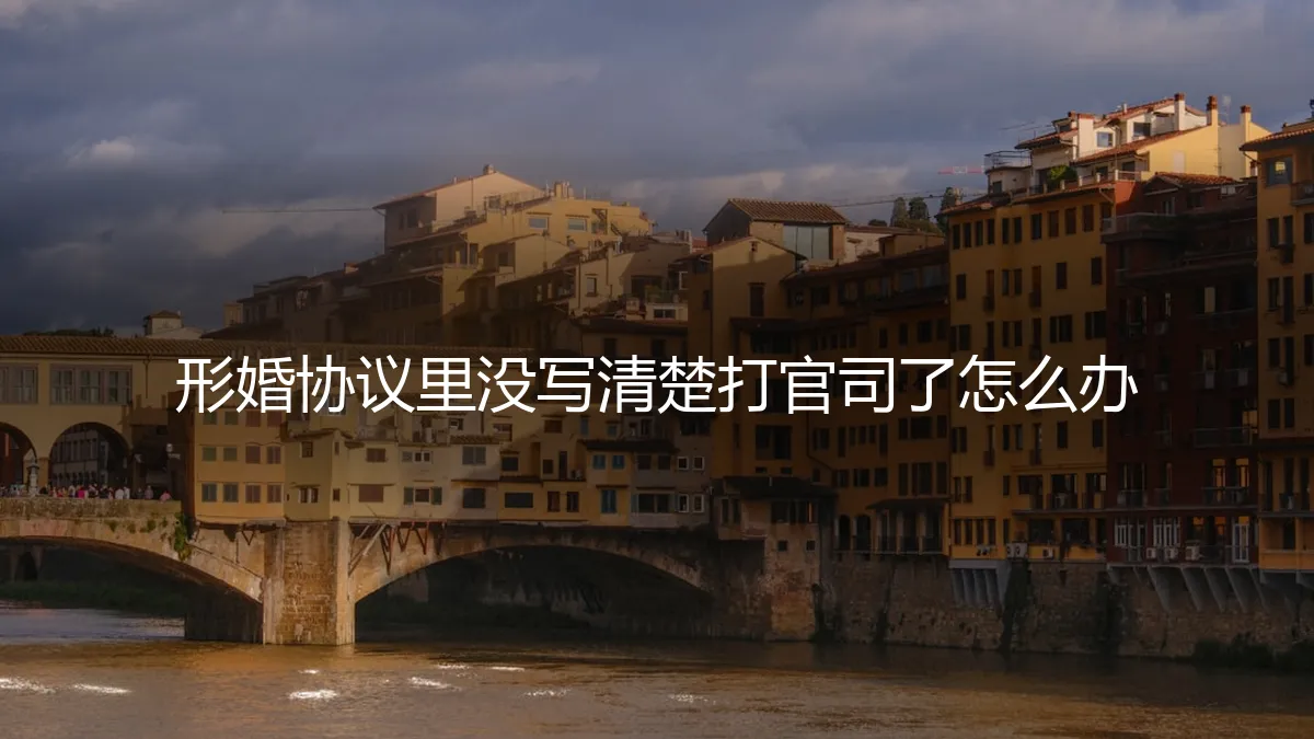 形婚协议条款模糊引发诉讼？资深专家教你如何应对与补救