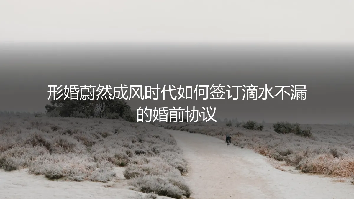 形婚蔚然成风时代，如何签订一份滴水不漏的婚前协议？