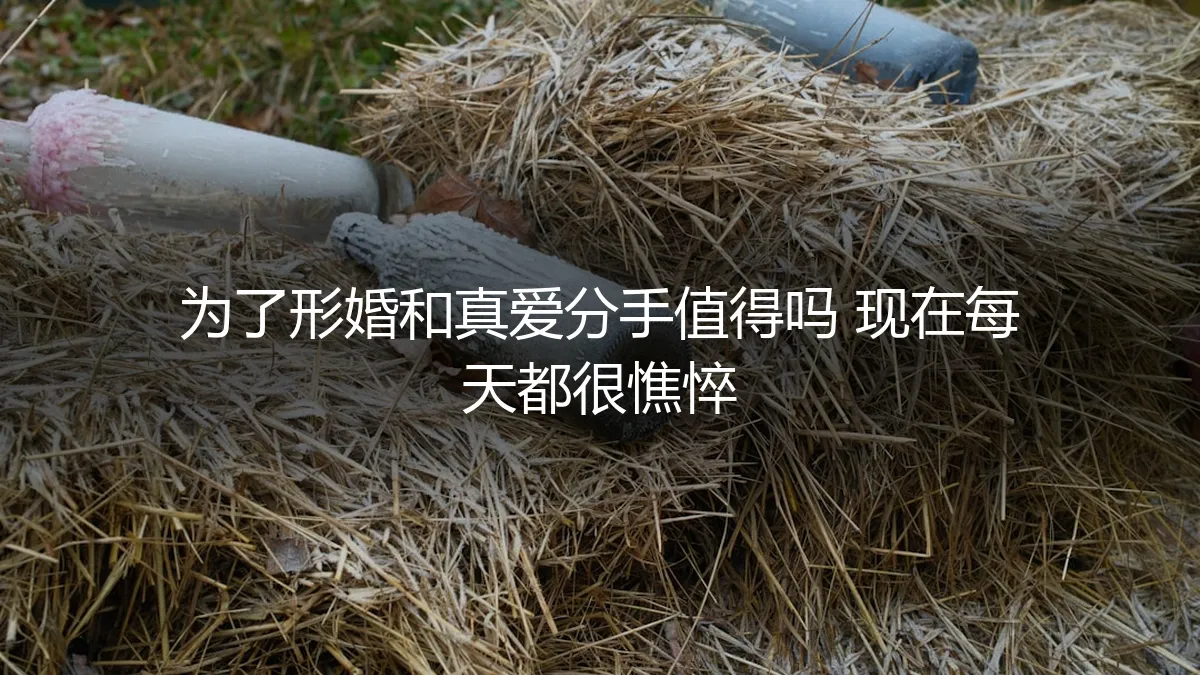 为了形婚，我弄丢了那个陪我吃早餐的人