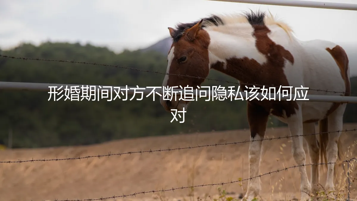 形婚期间对方不断追问隐私，如何专业应对与设定边界？