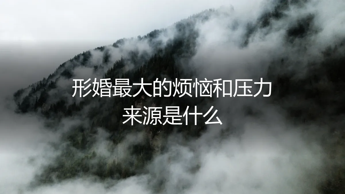 形婚背后：最大的烦恼与压力来源深度剖析