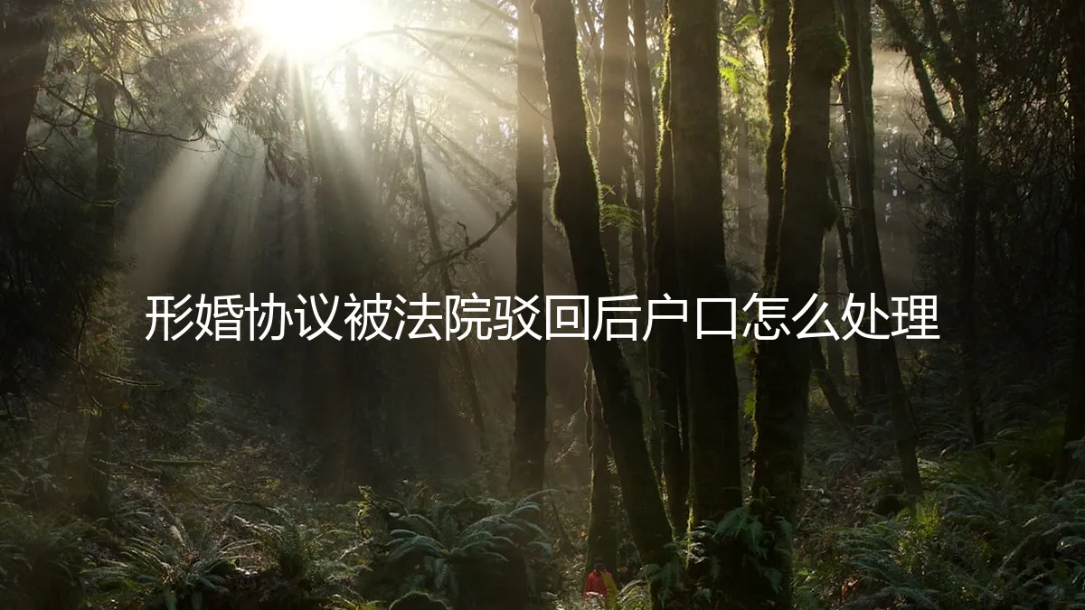 形婚协议被法院驳回后，户口问题如何妥善处理？