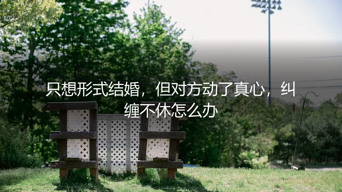 当形婚协议遇上心动：一场始于契约的纠缠与和解