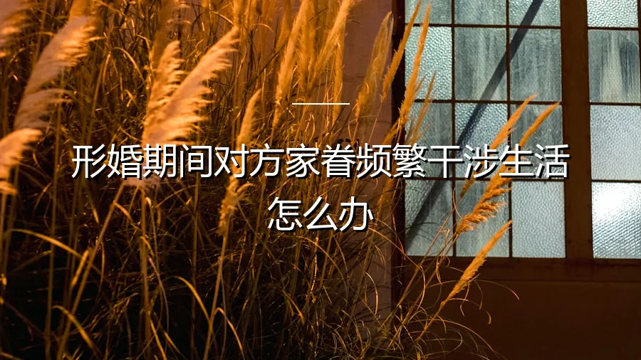 形婚期间对方家眷频繁干涉生活：应对策略与法律边界