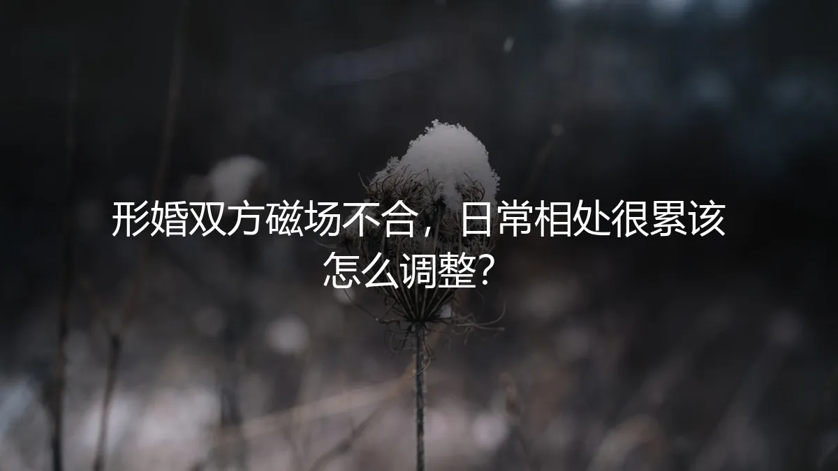 形婚后磁场不合，日常相处疲惫不堪？资深专家教你四步调整策略