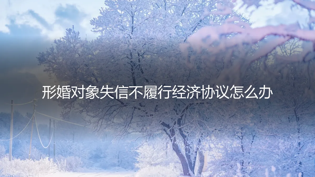 形婚对象失信不履行经济协议，如何破局与维权？