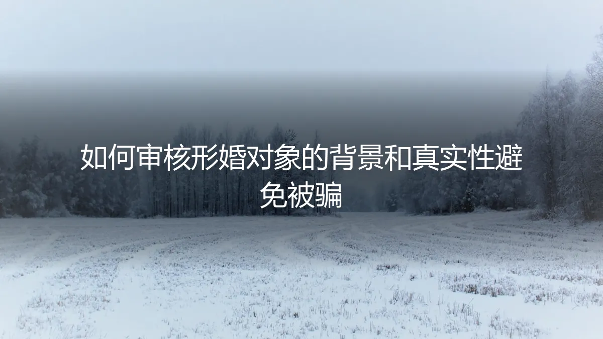 形婚避坑指南：如何深度审核对象背景与真实性，避免人财两空