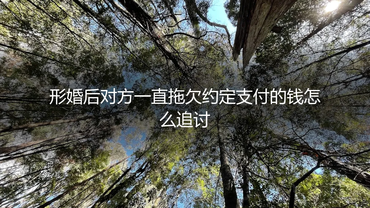形婚协议成空文？对方拖欠约定款项的追讨困境与破局之道