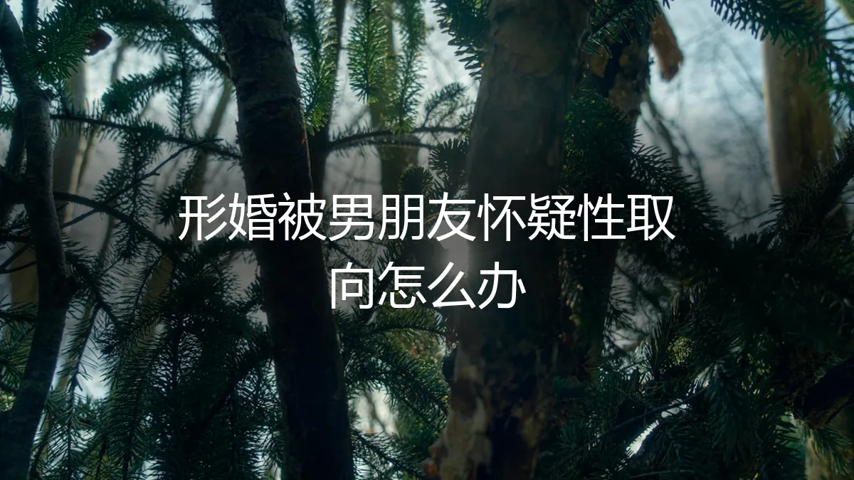 形婚进行中，被伴侣怀疑性取向怎么办？一份冷静的风险处置指南