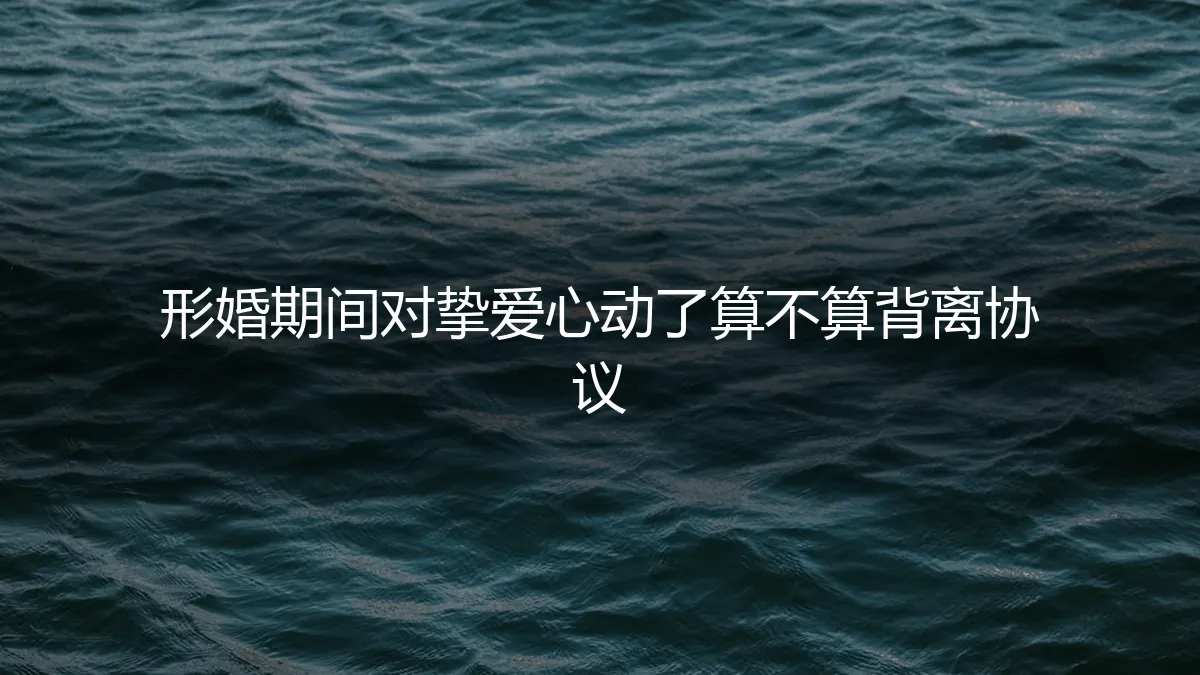 形婚协议里，没有定义心动