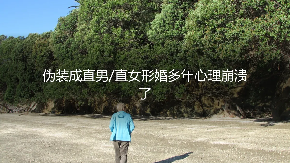 七年“模范夫妻”的除夕夜：那场无人知晓的崩溃