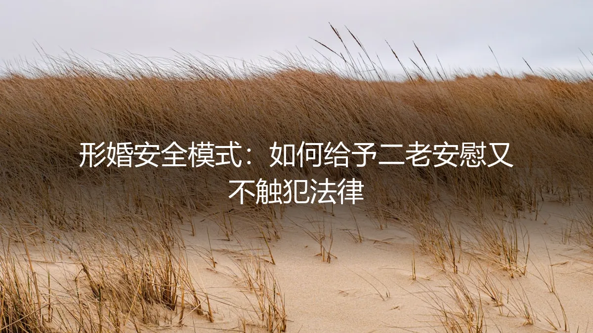 形婚安全模式：如何给予二老安慰又不触犯法律