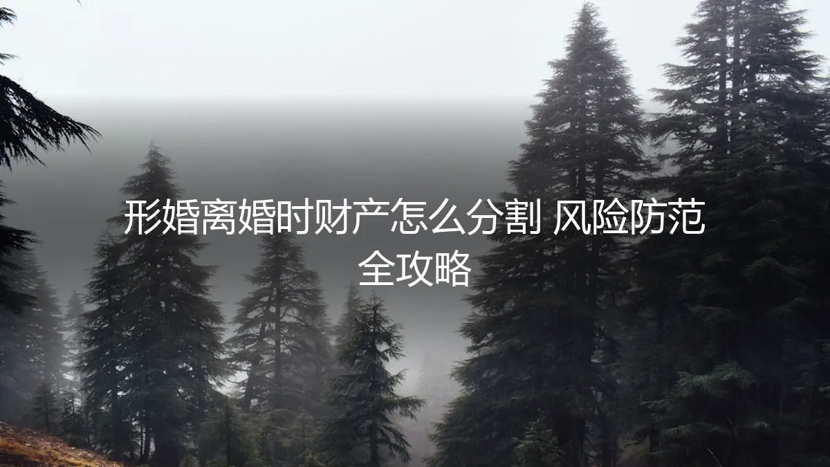 形婚离婚时财产怎么分割？保姆级风险防范全攻略