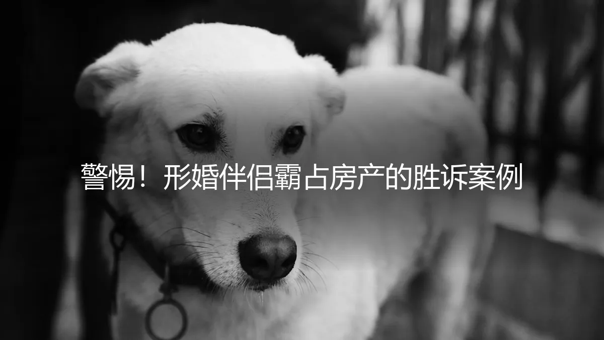 警惕！形婚伴侣霸占房产的胜诉案例：法律漏洞与防范指南