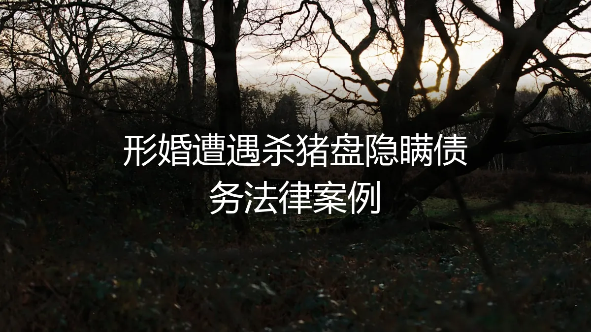 形婚遭遇杀猪盘与隐瞒债务：法律案例深度解析与防范指南