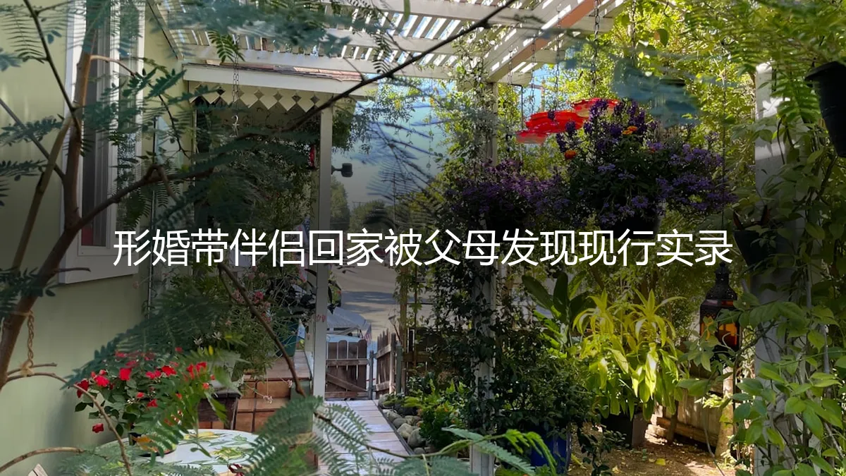 形婚带伴侣回家被父母发现：一场关于信任与谎言的博弈实录