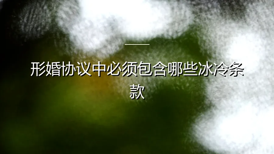 形婚协议中必须包含的七大“冰冷”条款：一份保护彼此的理性清单
