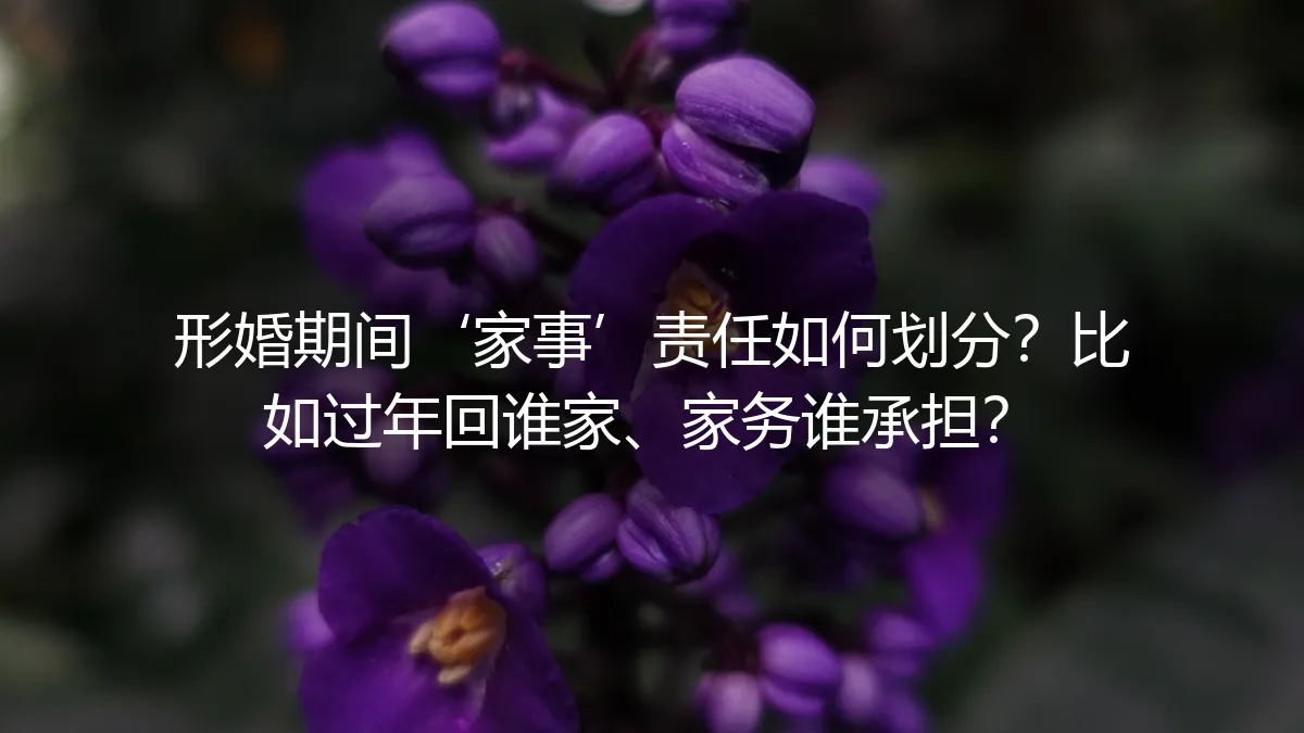 形婚期间‘家事’责任如何划分？从过年回谁家到家务承担的深度解析