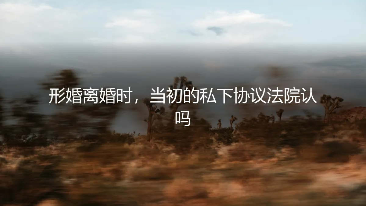 形婚离婚时，当初的私下协议法院认吗？——一份关于风险与契约的深度剖析