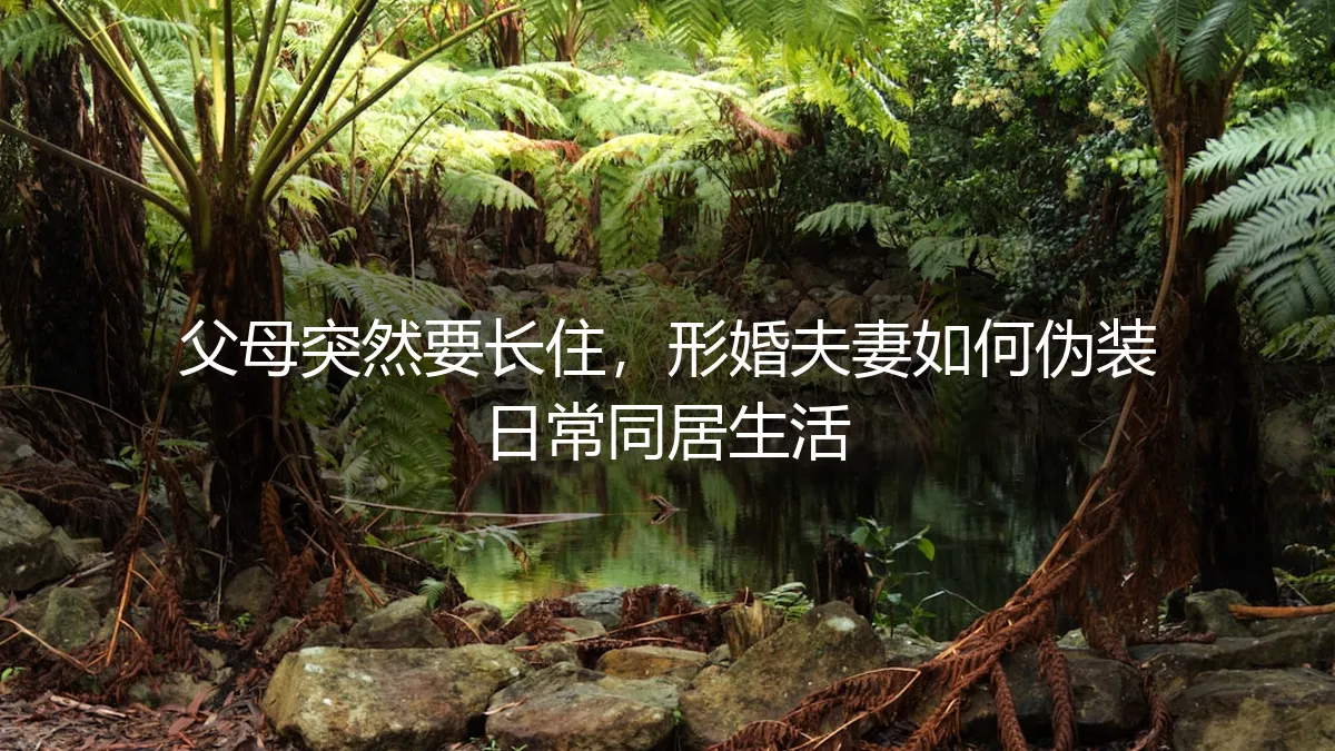 父母突然要长住，形婚夫妻如何应对与伪装日常同居生活？