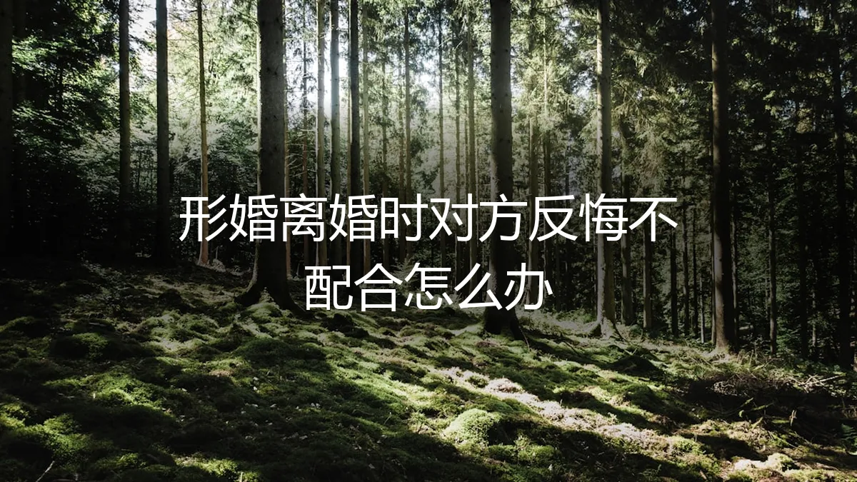 形婚离婚时对方反悔不配合怎么办？资深专家解析应对策略与法律路径
