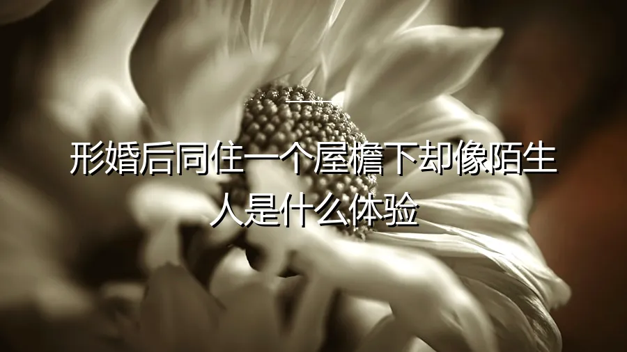 形婚后同住一个屋檐下却像陌生人：一场无声的亲密关系实验