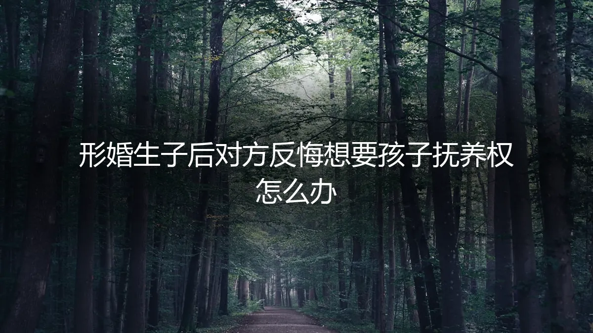 形婚生子后对方反悔争夺抚养权：法律风险与破局策略