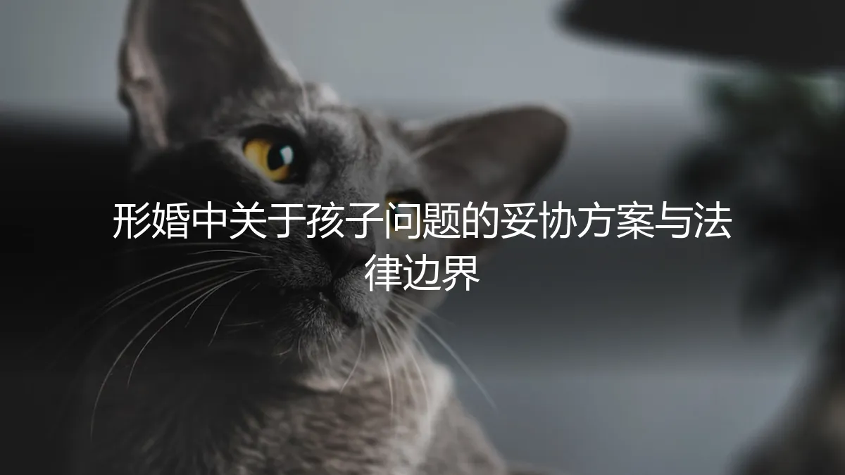 形婚育儿全攻略：从妥协方案到法律边界，一份不容出错的实操避坑指南