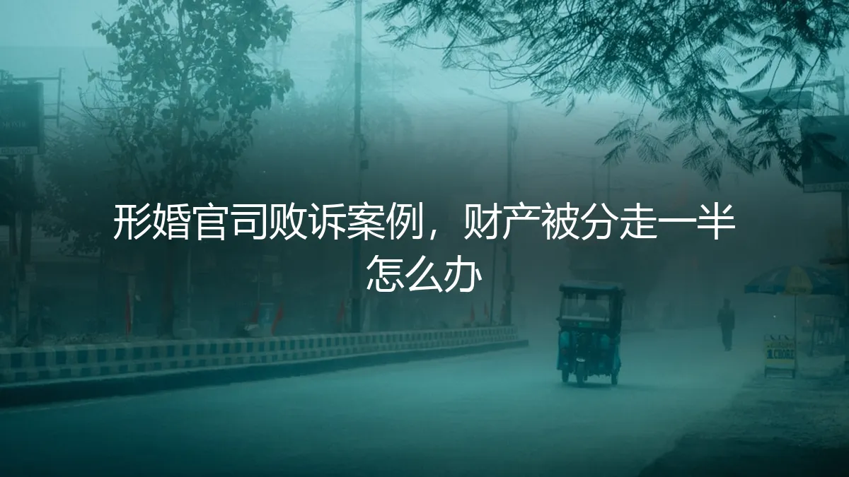 形婚官司败诉，财产被分走一半：真实案例下的风险警示与应对策略