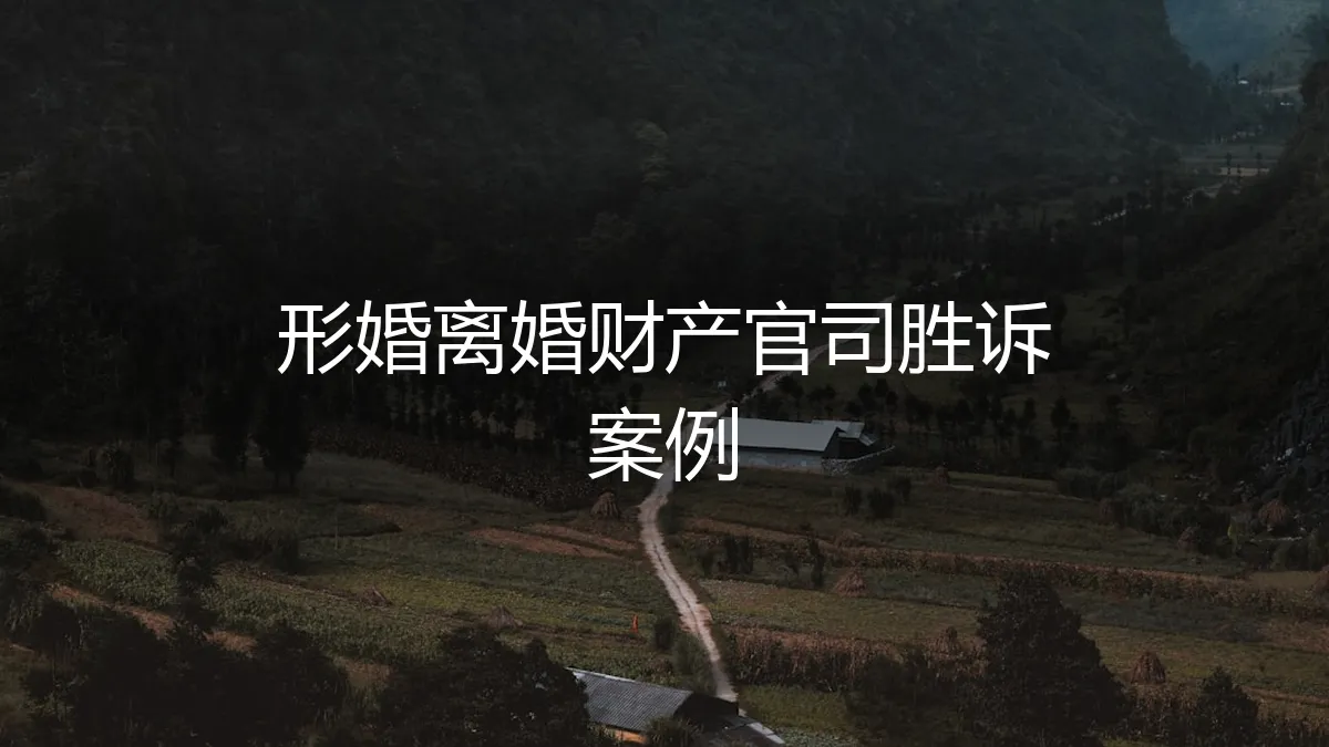 形婚离婚财产官司胜诉案例深度解析：从风险防范到法庭制胜
