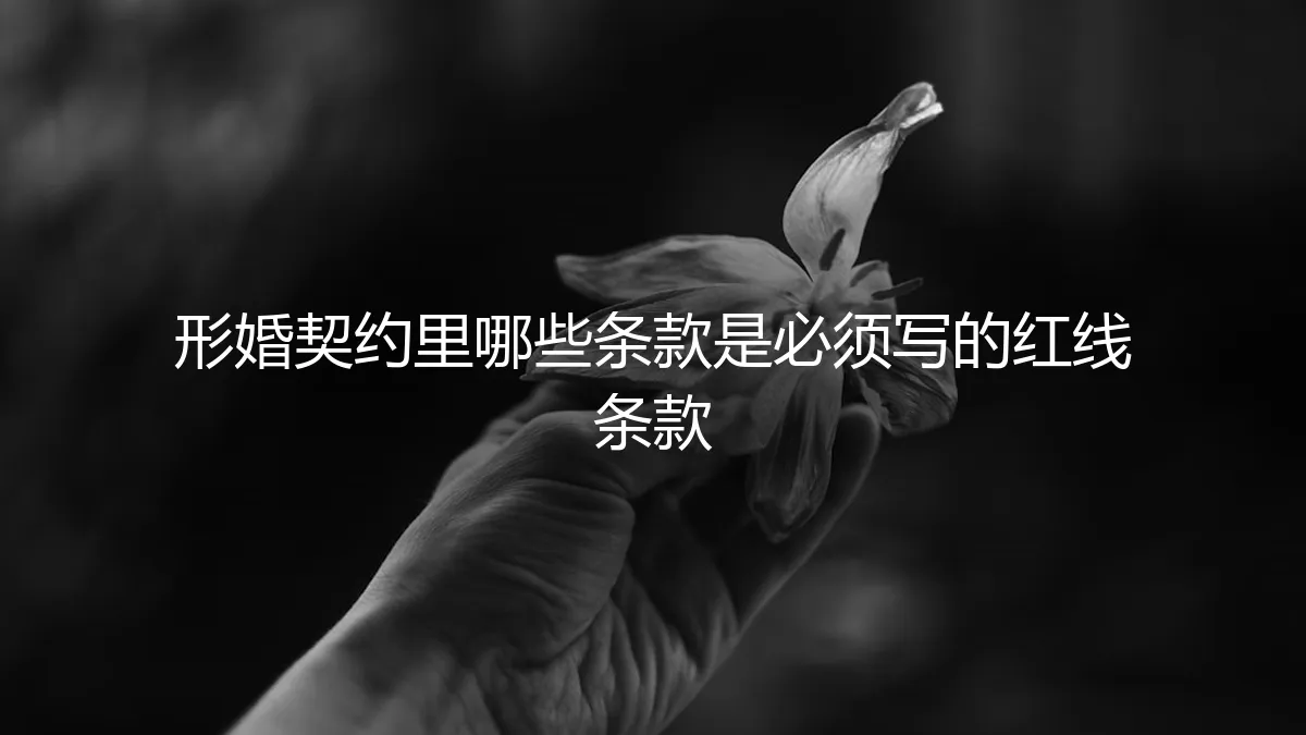 形婚避坑指南：契约中必须明确的7条红线条款