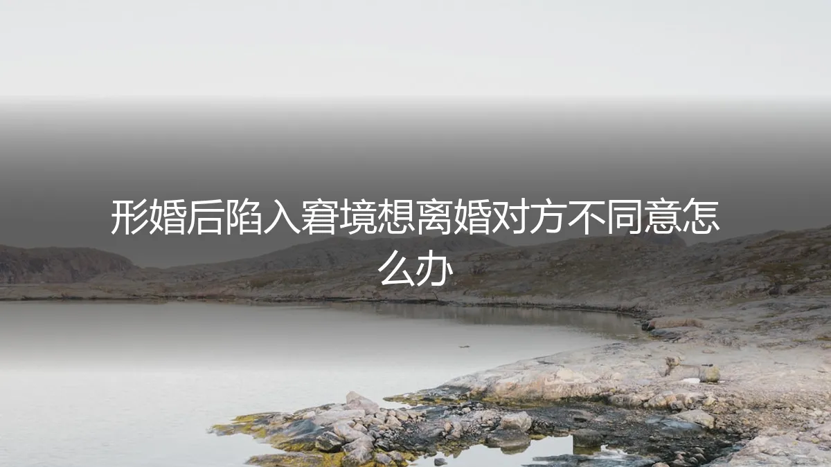 形婚后想离婚对方不同意？剖析困境、风险与破局之道