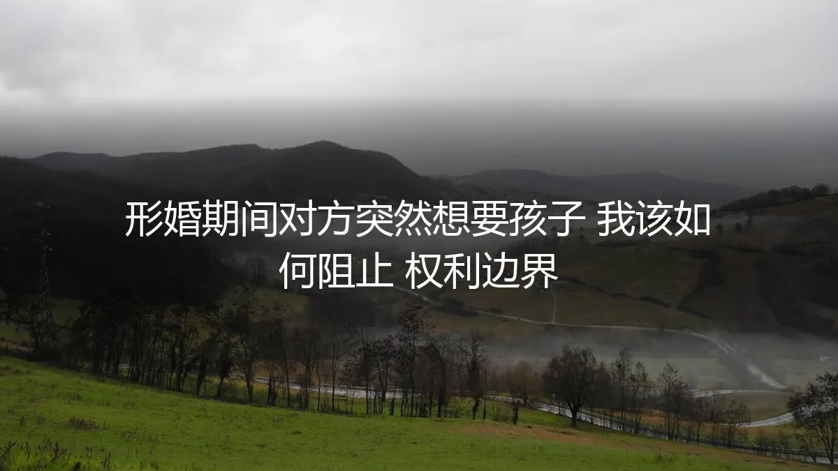 形婚期间，对方突然想要孩子，我该如何阻止？权利边界在哪里？