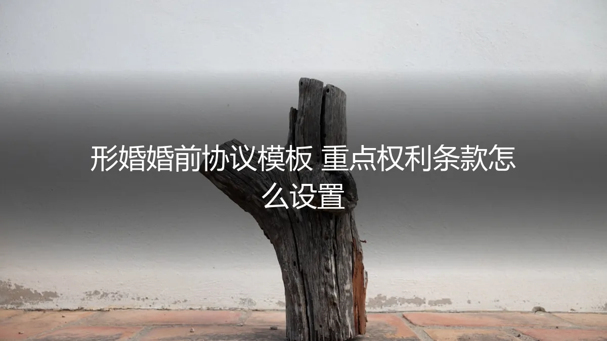形婚婚前协议保姆级指南：核心权利条款如何设置与避坑