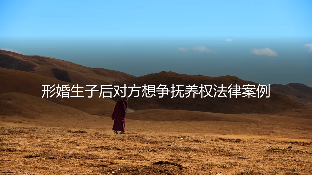 形婚生子后对方反悔争夺抚养权：一个真实案例的法律与情感困境