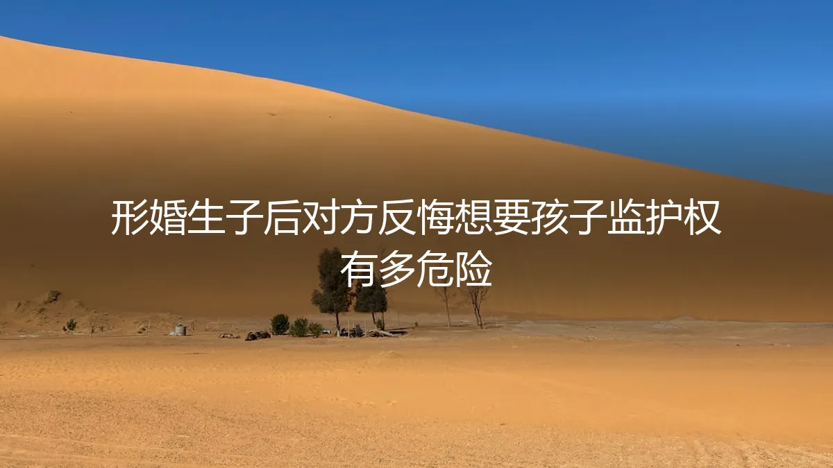 形婚生子后对方反悔争夺监护权：一场被低估的法律与情感风暴