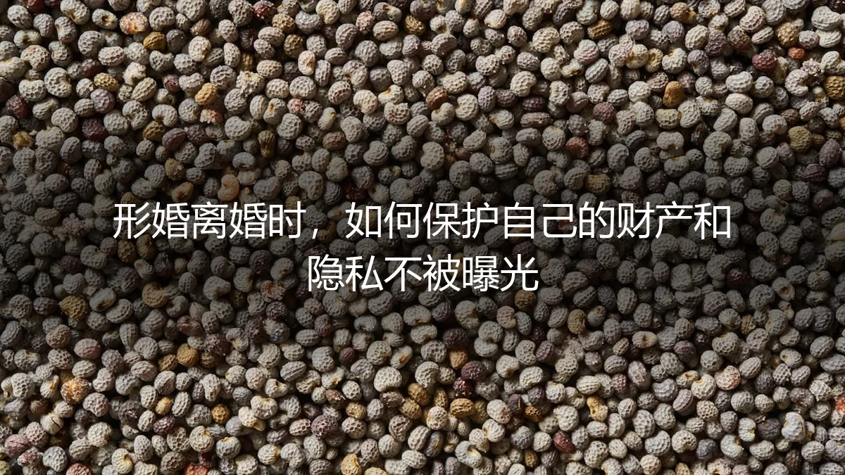 形婚离婚避坑指南：如何保护财产与隐私不被曝光