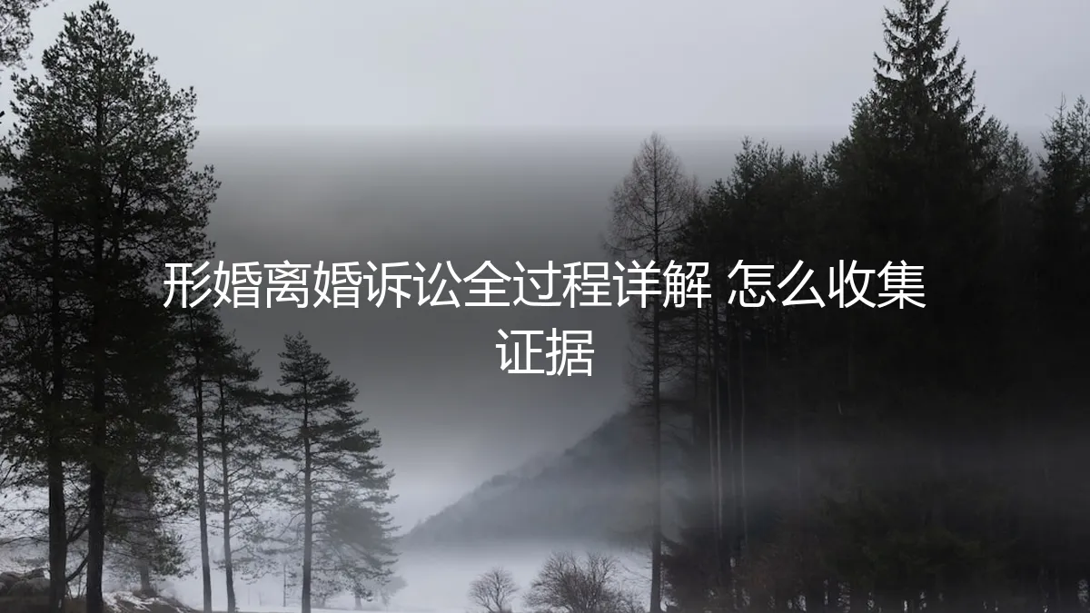 形婚离婚诉讼实操指南：从证据收集到法庭博弈的全过程详解