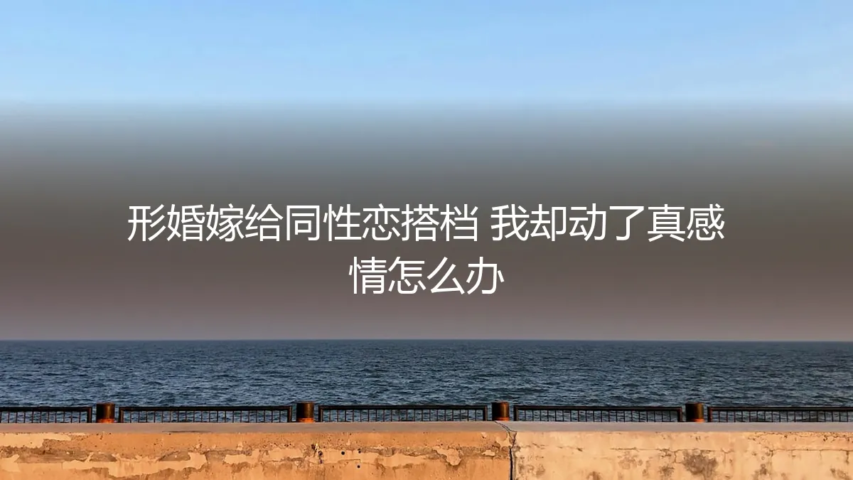 形婚协议之外：当我对同性恋搭档动了真心