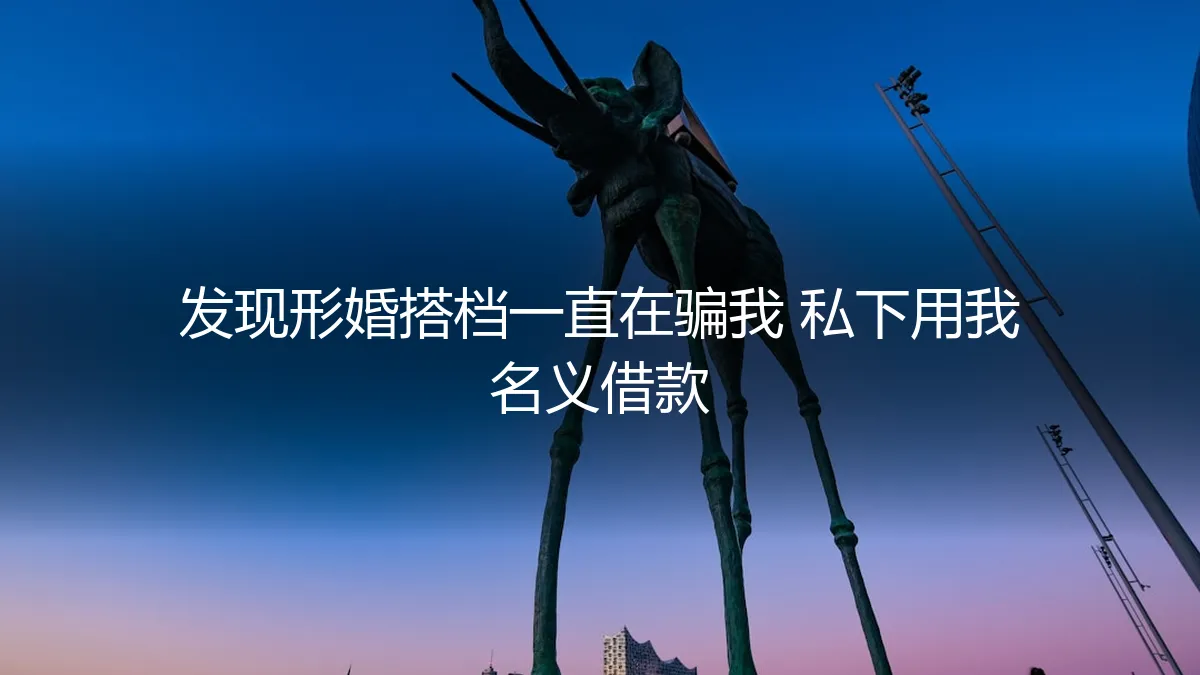 以我之名：当形婚搭档的借款协议成为我的噩梦