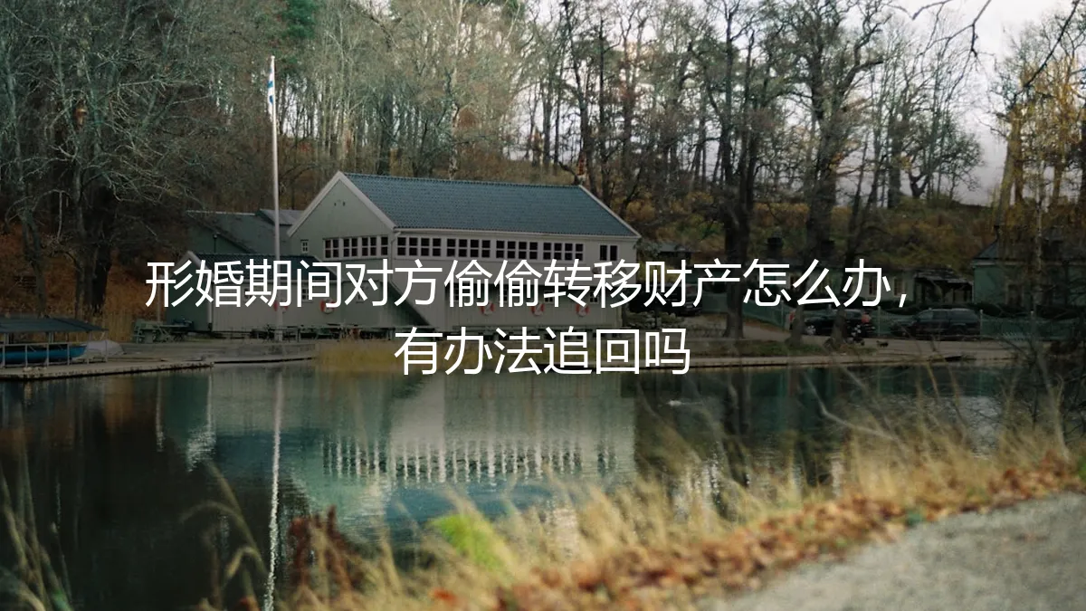 形婚期间对方偷偷转移财产怎么办？深度剖析追索路径与风险防范