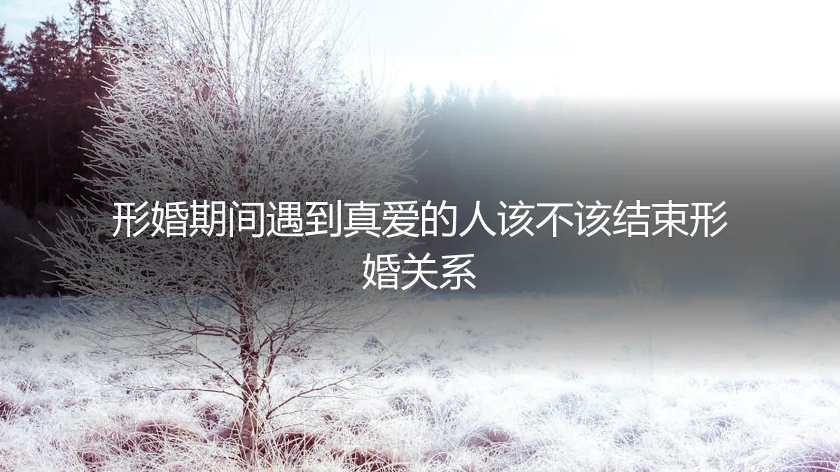 形婚期间遇到真爱：是结束契约，还是坚守承诺？