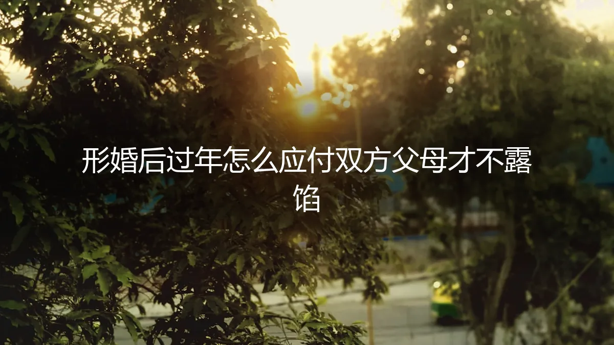 形婚过年回家全攻略：如何滴水不漏地应对双方父母，避免穿帮风险
