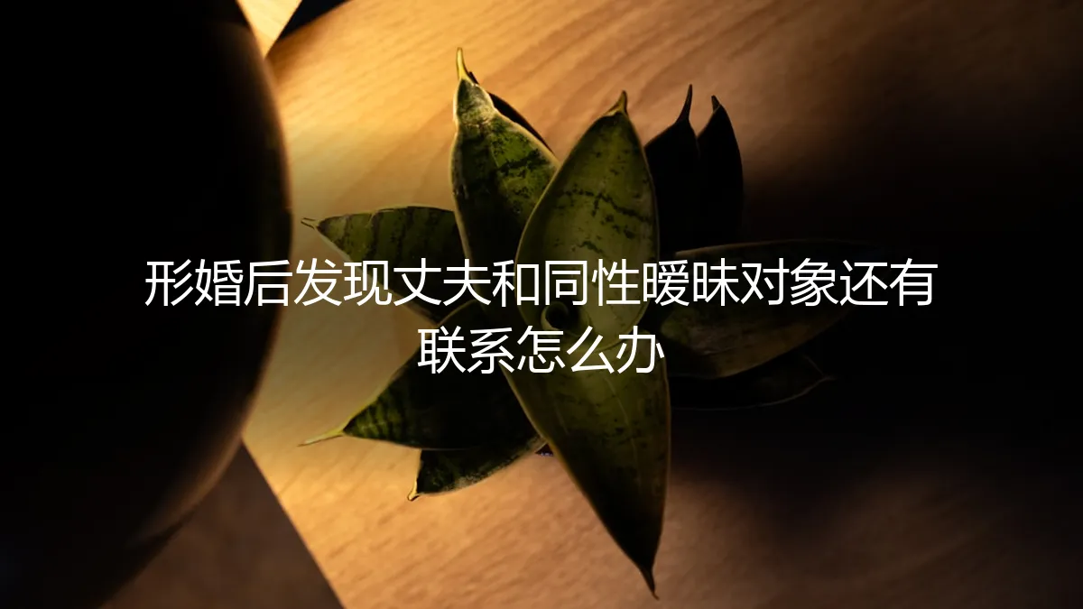 形婚后发现丈夫与同性暧昧对象仍有联系：困境、风险与破局之道