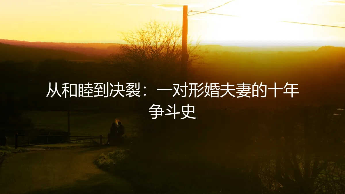 从和睦到决裂：一对形婚夫妻的十年争斗史