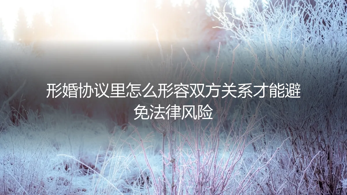 形婚协议核心条款：如何精准定义双方关系以规避法律风险（保姆级实操指南）