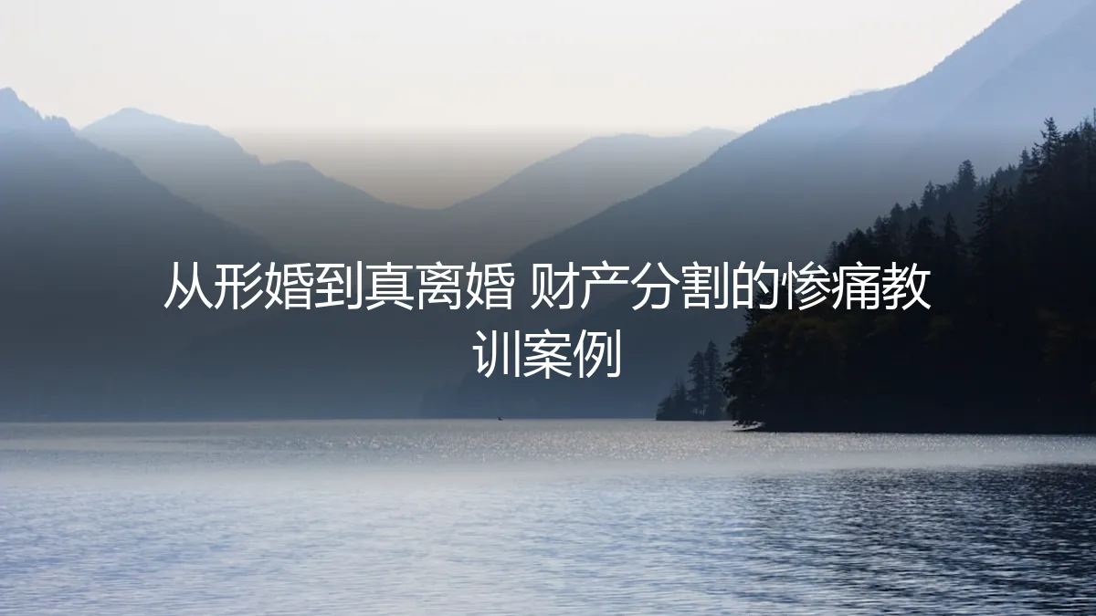从形婚到真离婚：一场关于财产分割的惨痛教训与深度剖析